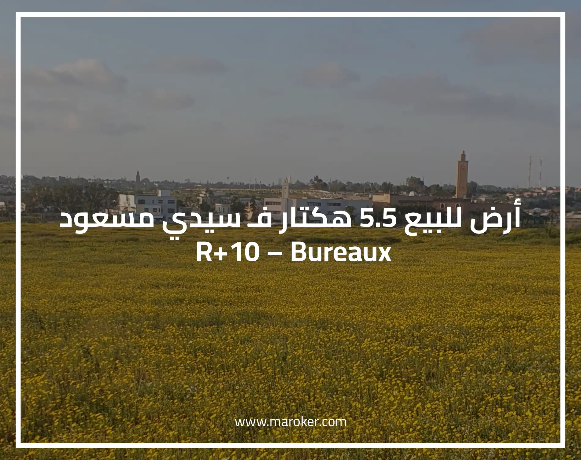 R+10 أرض للبيع 5.5 هكتار فـ سيدي مسعود